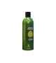 Bark 2 Basics Deodorizing Shampoo 16 oz